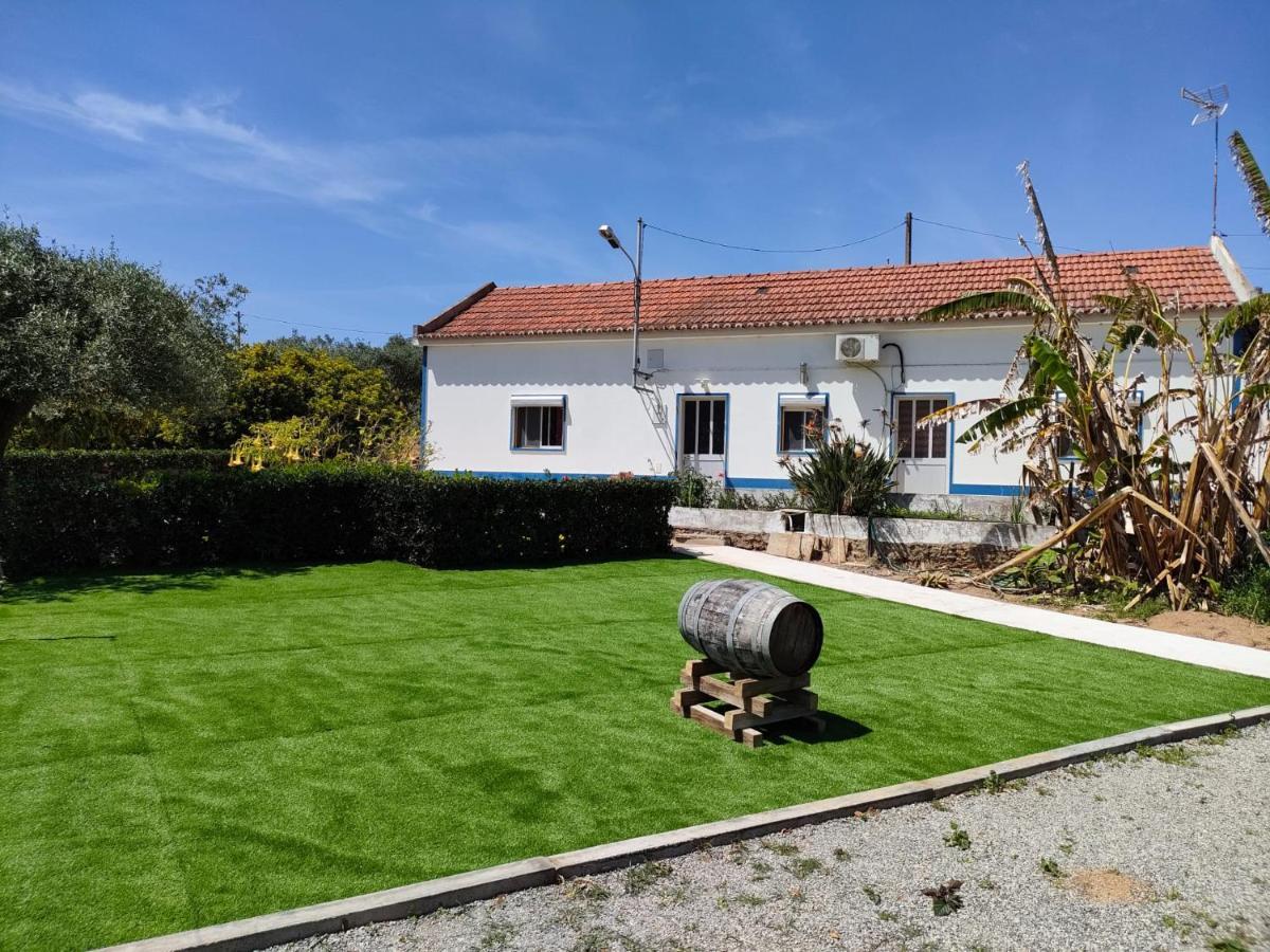 Villa Monte Da Vinha Nova Santiago do Cacém Exterior foto